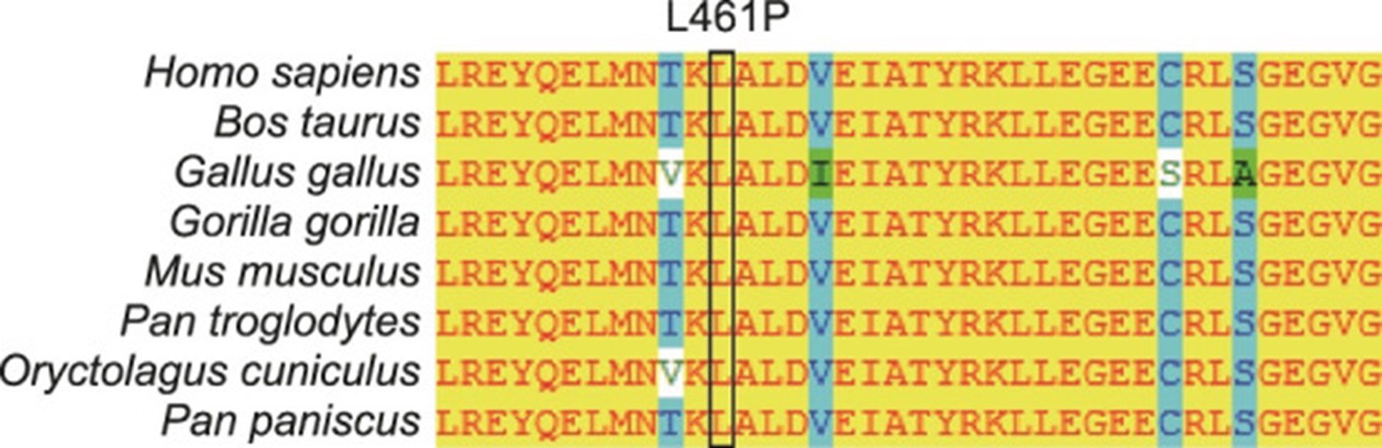 【佳学基因检测】单纯性大疱性表皮松解症基因检测Epidermolysis bullosa simplex 【佳学基因检测】单纯性大疱性表皮松解症基因检测Epidermolysis bullosa simplex